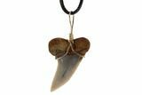 Fossil Mako Tooth Necklace - Bakersfield, California #95255-2